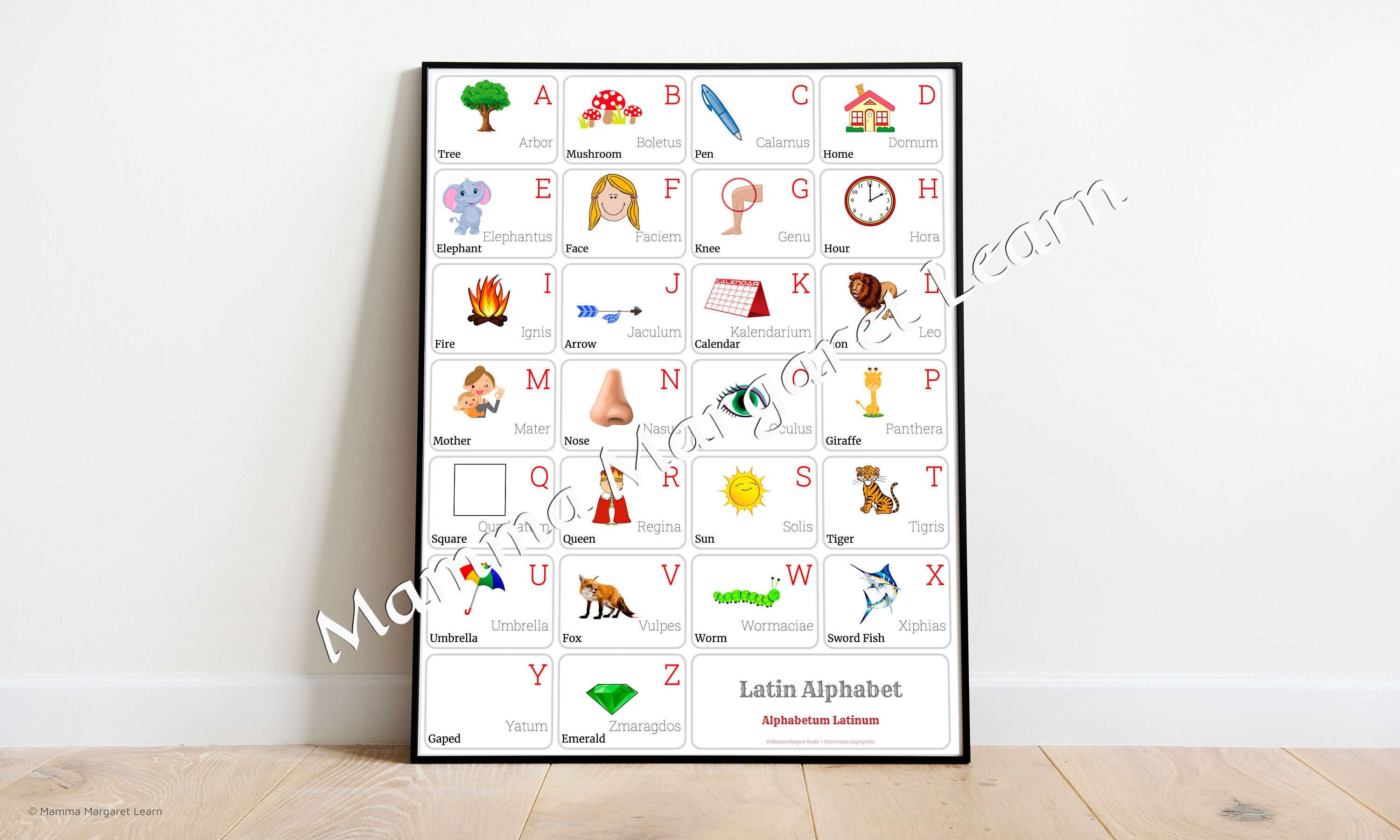 LATIN Alphabet POSTER Print With Words and English Translations, Latin ...