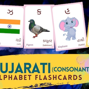 GUJARATI Alphabet FLASHCARD (Consonants) with picture, Learning Gujarati, Gujarati Letter Flashcard, Gujarati Language,Pdf flashcards