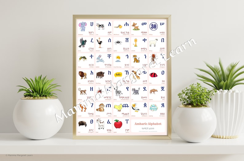 AMHARIC Alphabet CHART With Words and English Translations Etsy