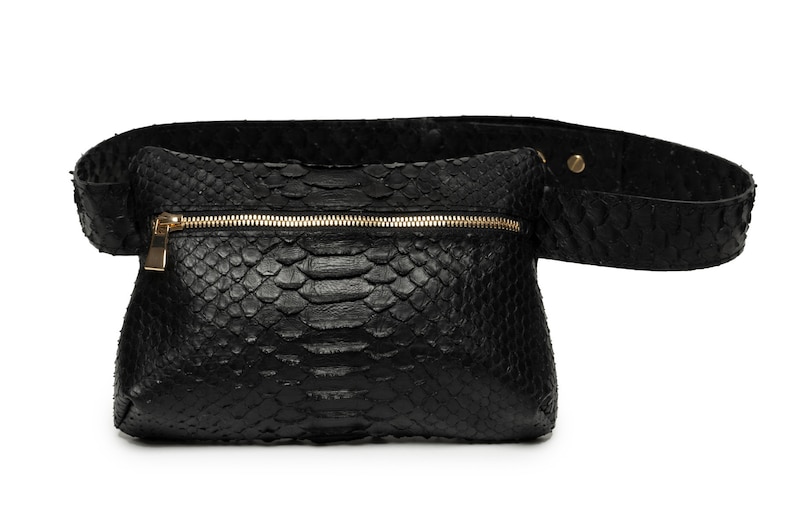 May include: A black leather fanny pack with a gold zipper and a snakeskin pattern.