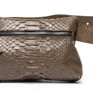 May include: A brown leather fanny pack with a zipper closure and a snakeskin pattern.