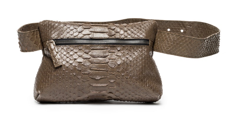 May include: A brown leather fanny pack with a zipper closure and a snakeskin pattern.
