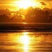 Owner of <a href='https://www.etsy.com/shop/GoldenSunriseShop?ref=l2-about-shopname&from_page=listing' class='wt-text-link'>GoldenSunriseShop</a>
