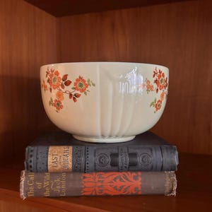 May include: A white ceramic bowl with a floral pattern in shades of orange and green. The bowl is sitting on top of two books, one with the title "The Call of the Wild" and the other with the title "Last of the Mohicans".