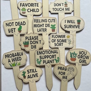 Plant Markers | Funny Plant | Crazy Plant Lady | Wooden Plant Marker | Sarcastic Plant | Plant Gift | Plant Killer | Plants | Plant Gifts