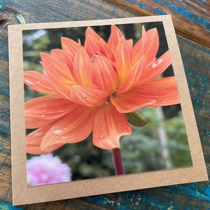 Carte fleurie, carte recyclée, carte d'anniversaire, carte écologique. Carte faite main. Carte de sympathie, carte-cadeau vierge, carte de remerciement, carte de jardinier