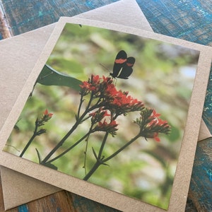 Carte fleurie, carte recyclée, carte d'anniversaire, carte nature. Carte écologique. Carte faite main. Carte insolite, carte de remerciement, carte papillon, bohème