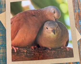 Recycled card, romantic card, love card, bird card, wedding card, handmade card, sympathy card, birthday card, eco friendly card, dove card