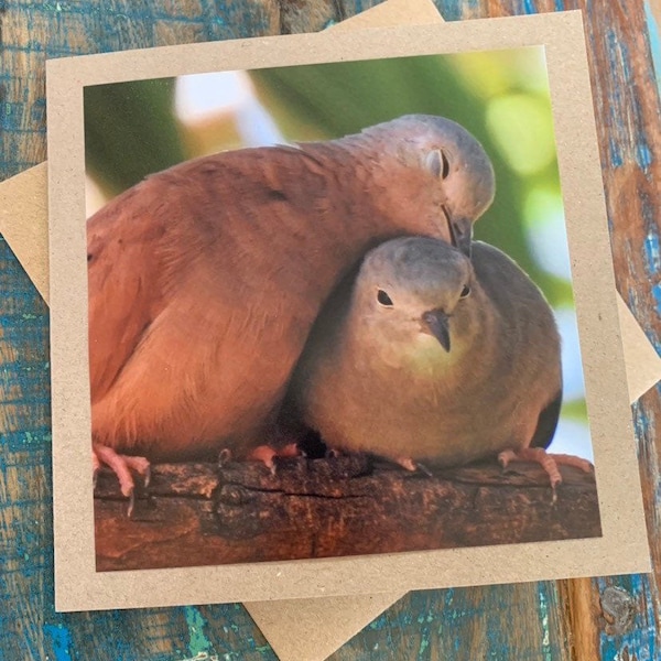 Recycled card, romantic card, love card, bird card, wedding card, handmade card, sympathy card, birthday card, eco friendly card, dove card