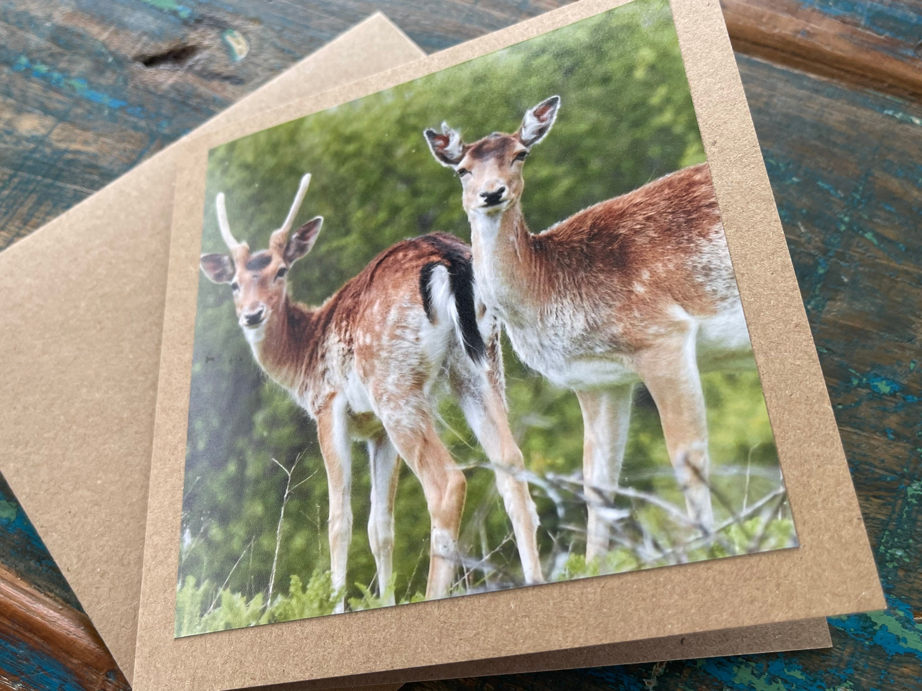 Deer Card. Get Well Soon Card Recycled Card Birthday Card Etsy UK