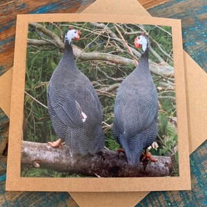 Carte faite main, carte de pintade. Carte photo vierge. Cadeau pour lui, carte oiseau en papier recyclé, carte de remerciement, carte insolite, carte animalière anglaise