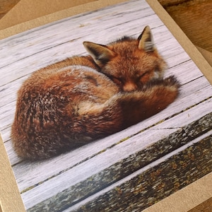 Carte renard, carte recyclée, carte nature, carte d'anniversaire, carte recyclée. Carte-cadeau écologique. Carte faite main. Carte de message vierge. Cadeau écologique.