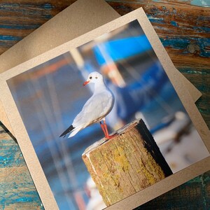 Carte mouette, carte recyclée, carte d'anniversaire, carte recyclée. Carte écologique. Carte faite main. Carte de remerciement inhabituelle, carte-cadeau vierge, oiseau