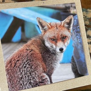 Carte renard, carte recyclée, carte nature, carte d'anniversaire. Carte-cadeau écologique. Carte faite main, cadeau pour renard inférieur, carte animal anglaise faite maison