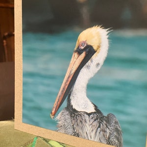 Carta pellicano, carta fatta a mano, regalo per lei, carta natura. Carta riciclata, carta ecologica. Carta con foto di animali selvatici, carta di uccelli, carta di mare boho