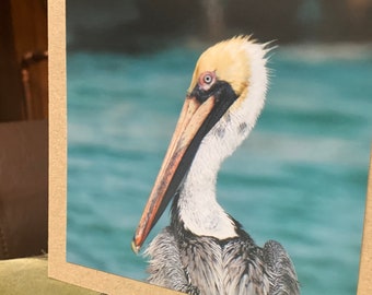 Pelican card, handmade card, gift for her, nature card. Recycled card, eco friendly card. Wildlife photo card, bird card, seaside card boho