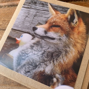 Fuchs Karte, Recycling Karte, Natur Karte, Geburtstagskarte. Umweltfreundliche Geschenkkarte. Handgemachte Karte, Geschenk für Fuchs untere, selbstgemachte englische Tierkarte