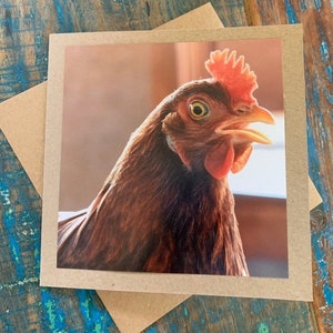 recycelte Karte. Foto Karte, handgemachte Karte, Geburtstagskarte, Geburtstag, Happy Birthday, Huhn Karte, Osterkarte, Blanko Karte, Grußkarte