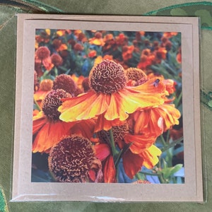 Bloemenkaart, handgemaakte kaart voor haar. Gerecycleerde kaart, boho-milieuvriendelijke kaart. Bedankkaart voor tuinman, cadeau voor haar, echinaceakaart