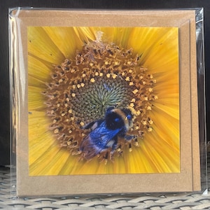 Carte abeille, carte recyclée, carte d'anniversaire. Carte écologique. Carte faite main. Carte de remerciement, carte-cadeau vierge, carte nature anglaise, cadeau pour elle