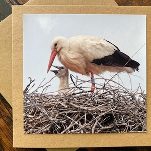 Ooievaarskaart. Nieuwe babykaart, gerecyclede kaart, verjaardagskaart, milieuvriendelijke kaart. Handgemaakte kaart. Kaart voor babyjongen, bedankkaart, kaart voor babymeisje