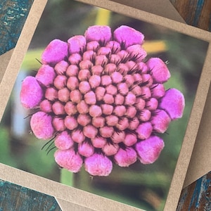 Carte fleurie, carte recyclée, carte d'anniversaire, cadeau d'anniversaire rose, carte écologique. Carte faite main. Carte originale, carte-cadeau vierge, carte florale