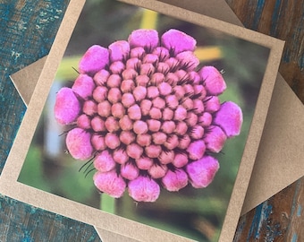 Flower card, recycled card, birthday card, pink birthday gift, Eco friendly card. Handmade card. Unusual card, blank gift card, floral card