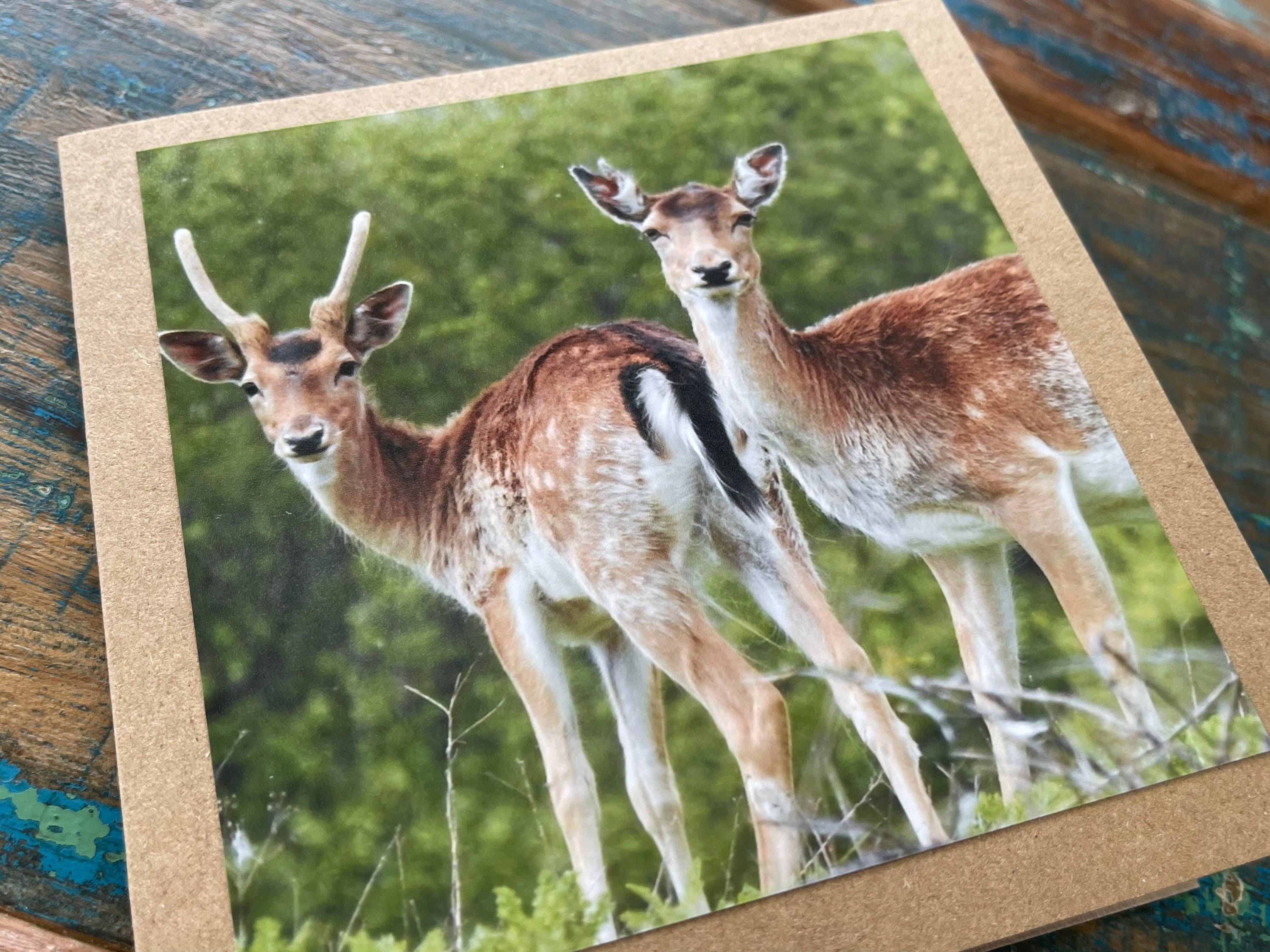 Deer Card. Get Well Soon Card Recycled Card Birthday Card Etsy UK