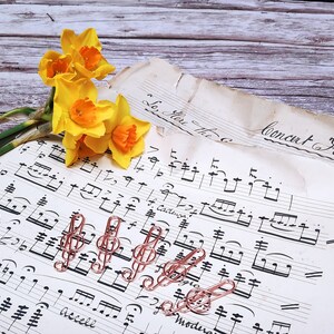 May include: A sheet of music with the words "Concert Flute" written on it.  The music is held together with several gold treble clef paper clips.  A bouquet of yellow daffodils is on the left side of the sheet music.