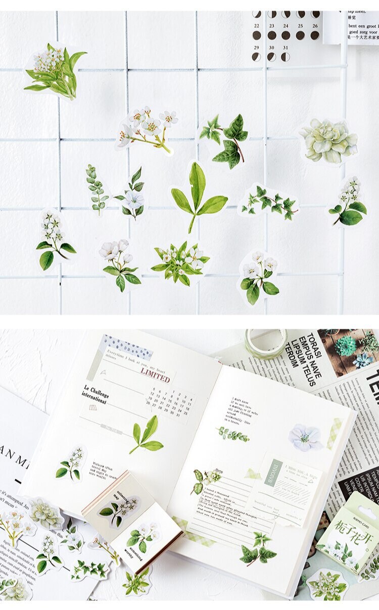 46 White Flowers Ivy Stickers in A Box | Cute, Colourful, Collectible ...