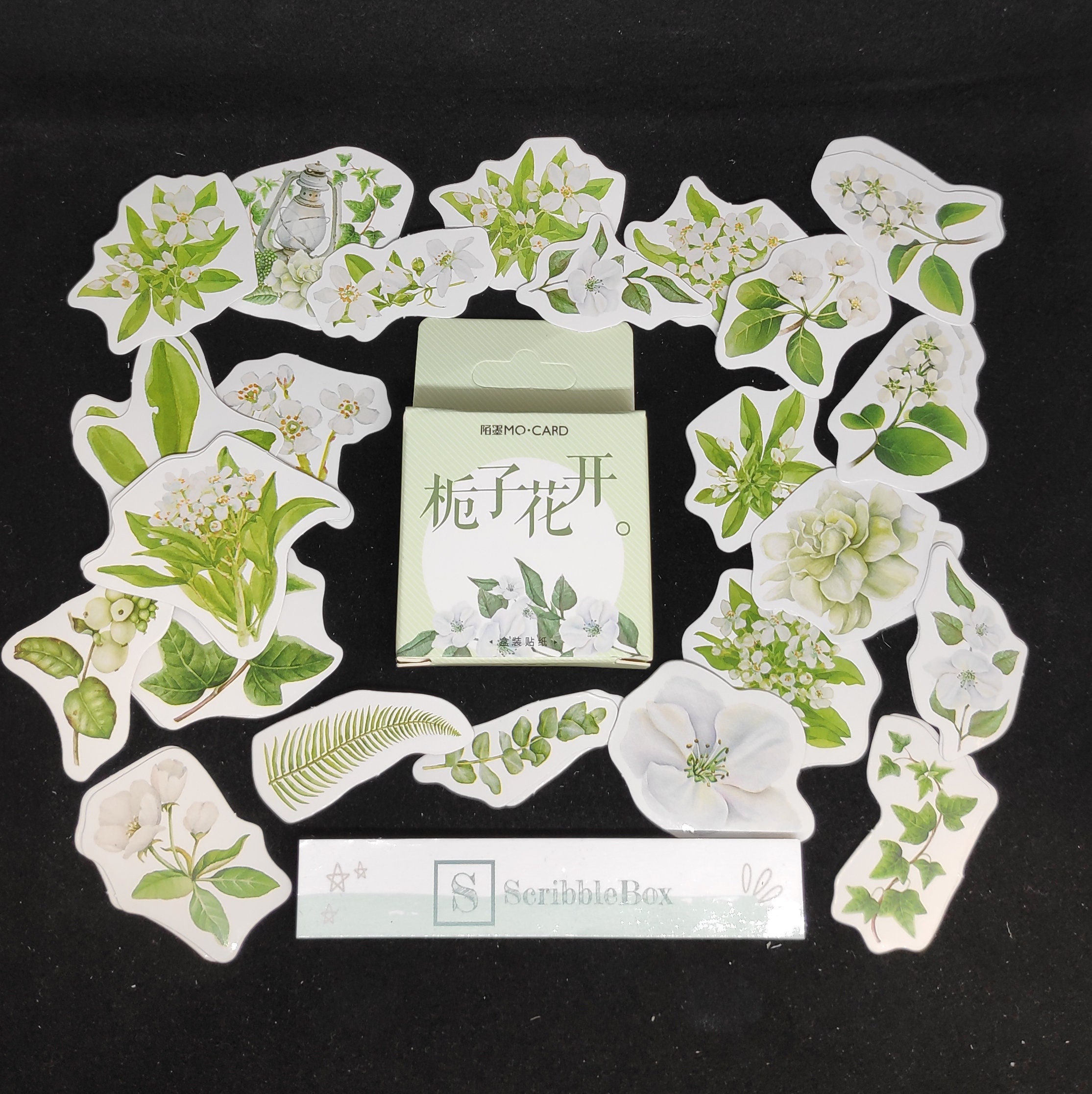 46 White Flowers Ivy Stickers in A Box | Cute, Colourful, Collectible ...