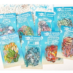 May include: A collection of cards with illustrations of marine life inside mason jars. Each card features a different underwater scene with the text "TRAVELS AROUND THE SEA FLOOR" in white on a blue background. The cards showcase various sea creatures and plants.