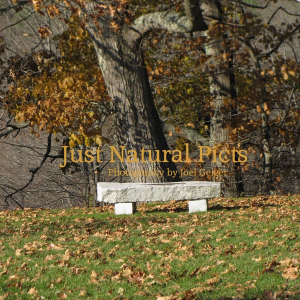 Scenic country bench