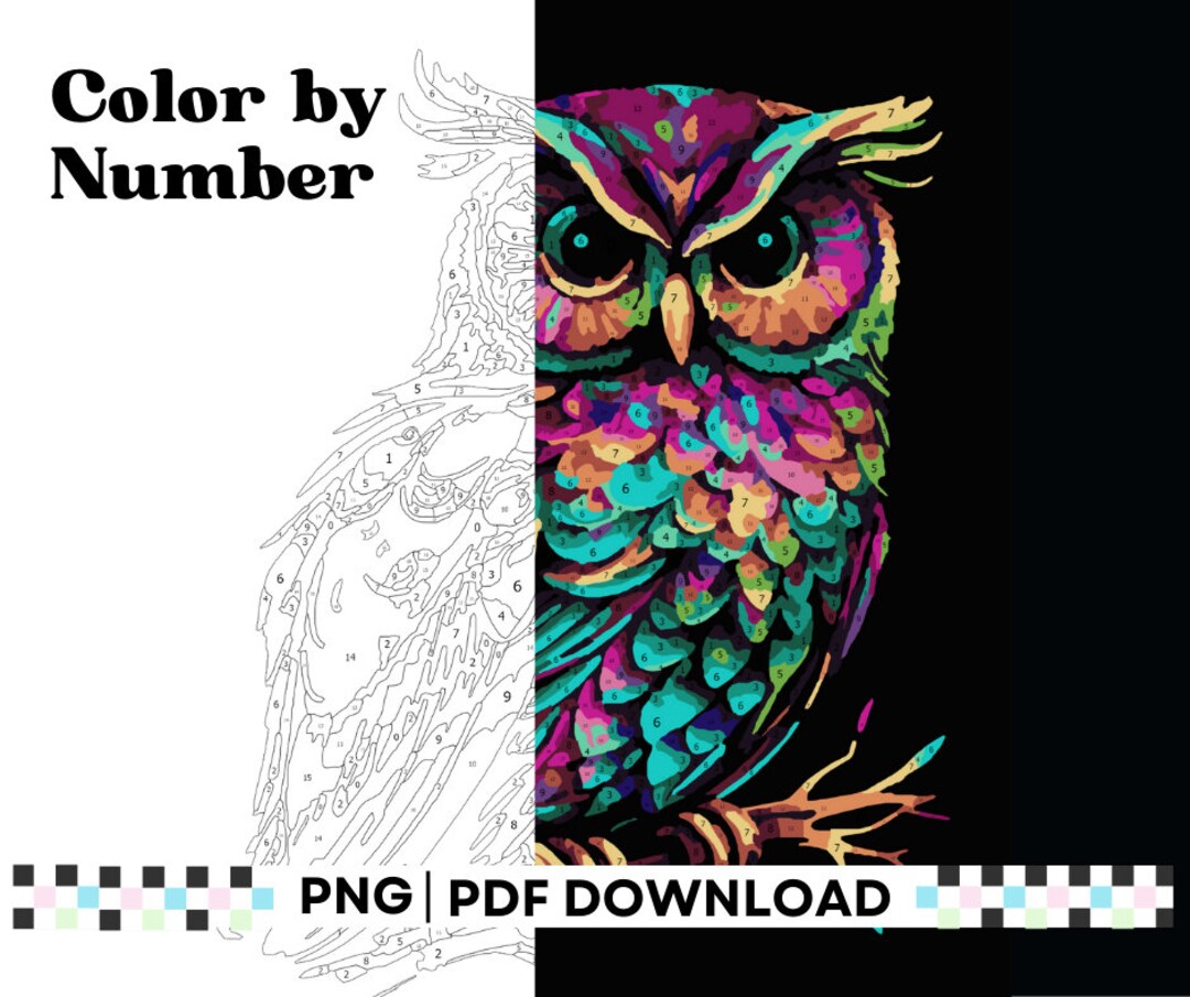 Color by Number Owl, Colorful Animals, Adult Coloring Pages, Digital