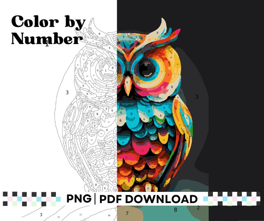Color by Number Owl, Colorful Animals, Adult Coloring Pages, Digital