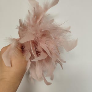 May include: A cluster of soft, light pink feathers. The feathers are arranged in a dense, rounded shape, with some individual plumes extending outwards. The color is a delicate, muted pink, suggesting a gentle and airy texture. The feathers appear to be a decorative item.