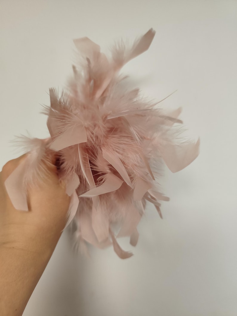 May include: A cluster of soft, light pink feathers. The feathers are arranged in a dense, rounded shape, with some individual plumes extending outwards. The color is a delicate, muted pink, suggesting a gentle and airy texture. The feathers appear to be a decorative item.