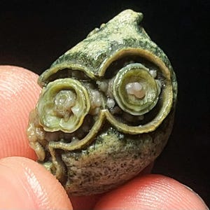 Rare Natural Gobi Agate Eyes Agate/ Agate/Healing Agate/Healing stone/ Energy/Gift  L6137