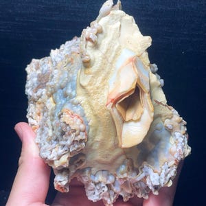 Rare Natural Gobi Agate Eyes Agate/ Agate/Healing Agate/Healing stone/ Energy/Gift  L5803