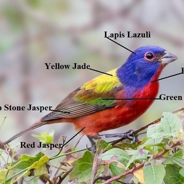 Bunting Necklace Etsy