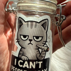 Introvertiertes Glas Stash Glas mit Katze AntiSocial Geschenk | Kleiner luftdichter geruchssicherer Schmuckhalter