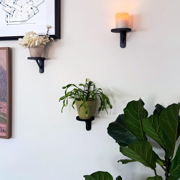 Estantería de pared para plantas impresa en 3D: Maceta flotante minimalista, diseño de veteranos