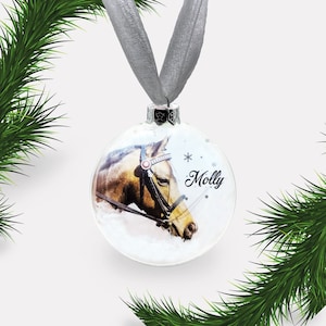 Personalised | Custom Pet Bauble. Glass Christmas Photo. Dog, Cat, Rabbit, Bird, Horse & more