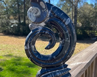 Large Ammonite and Orthoceras Cephalopod Fossil Specimen