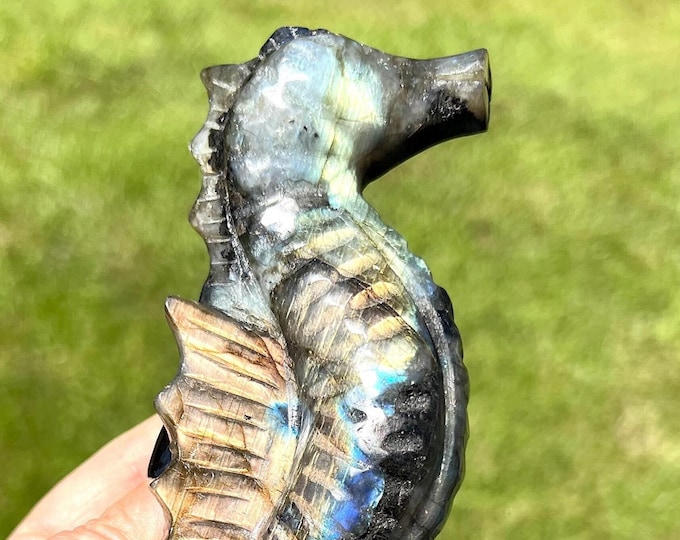 Hand Carved Labradorite Sea Horse