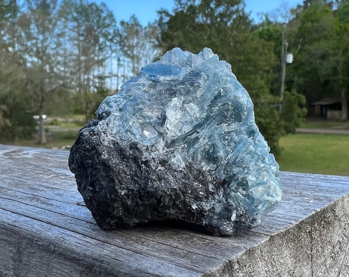 Rare Blue Kyanite Cluster From Paraiba , Brazil ~ Kyanite Chunk ~ Stone of Truth and Balance ~ Raw Blue Kyanite ~ Crystal ~ Rock Collector