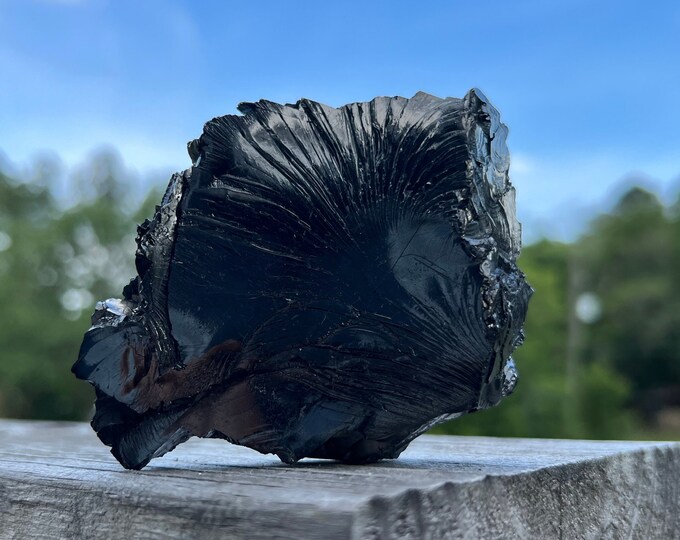 Shungite Chunk