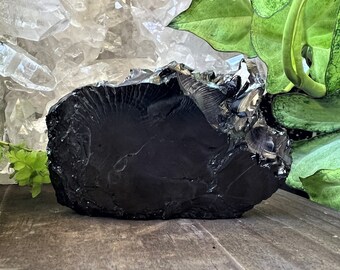 Shungite Chunk
