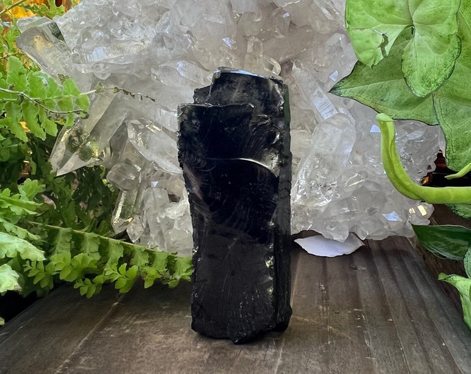 Shungite Chunk