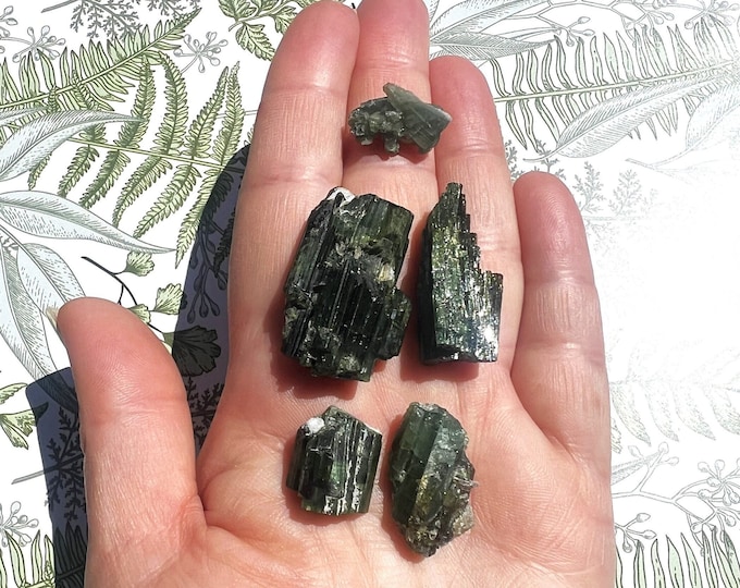 Watermelon Tourmaline  #5 ~ Green Tourmaline ~ Pick Yours